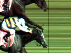 Dunaden wins Melbourne Cup