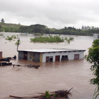 Food rations to reach all in need