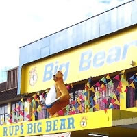 Rups Big Bear Ventures in New Project