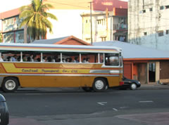 Bus Services To Cease