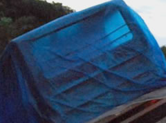 Bus Owners Could Be Charged