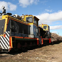 FSC borrows around $87m locally