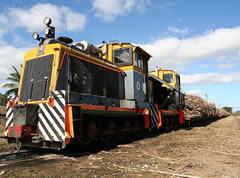 FSC borrows around $87m locally