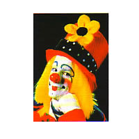 Cookie Finally in Fiji for Showcase