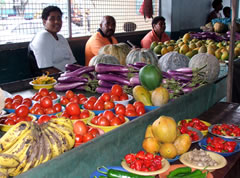 Local farmers have the chance to provide for hotels