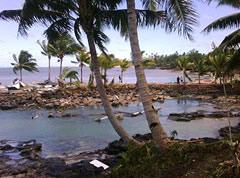 Death toll continues to rise