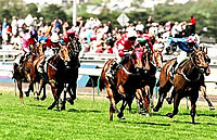 Melbourne Cup To Kick Off Tomorrow