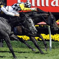 Viewed remains favorite