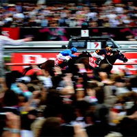 Shocking wins Melbourne Cup