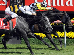 Viewed remains favorite