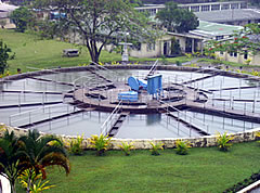 Reservoirs reach critical level 