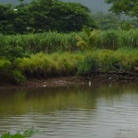 Nadi river to be dredged