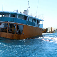 Bawaqa report out next week