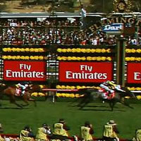Viewed Wins Melbourne Cup