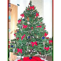 Kadavu Choir Sing Carols Irish Way