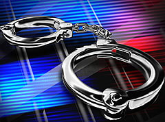 DVD shop raided, owner in custody