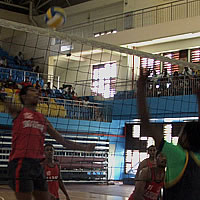 New Champion at Schools Volleyball