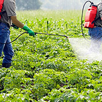 Consumer Council warns on illegal pesticide