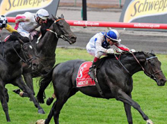 Stage set for Melbourne Cup