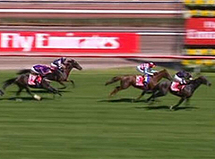 Fiorente wins Melbourne Cup