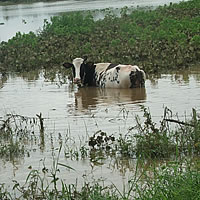 20 Farmers Given Assistance