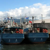 Fiji navy arrests fishing vessel captain