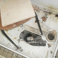 FSN undergoes renovations