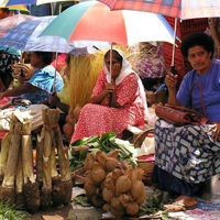Development plans for Nasinu