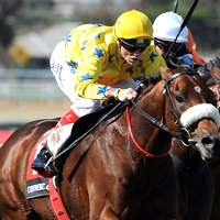 Prince Charles to attend Melbourne Cup