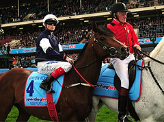 Green Moon wins Melbourne Cup