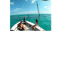 Travel Companies Assess Situation