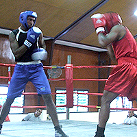 Overseas promoter interested in staging fights in Fiji