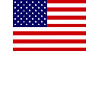 Roadmap delays election process-US