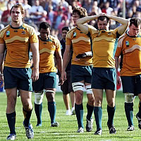 Wallaby coach steps down