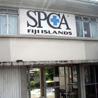 SPCA plea with owners not to abandon their pets