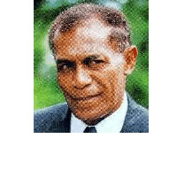 Lesavua against CCFs view