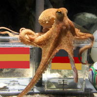 Eat Paul, Germans demand