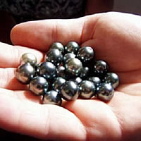 Bua Residents Look At Pearl Farming