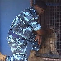 Strike back team called in