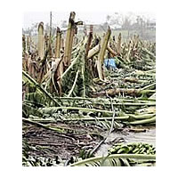 Villagers left without food/water