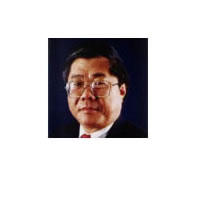 Chinese celebrate New Year