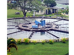 Pumping Station breaks down, no water