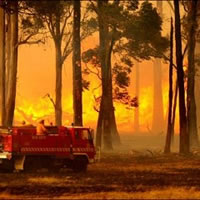 Aussie Fire Claims 108 Lives