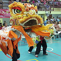 Chinese showcase culture in Fiji
