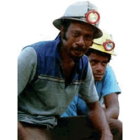 Close to 700 people to be employed at Gold Mine