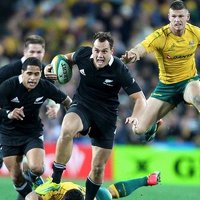 Dagg has faith in Cane