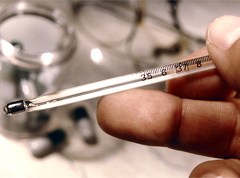 Public warned to see doctors instantly on onset of dengue symptoms