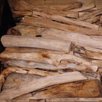 Experts try to revive sandalwood industry