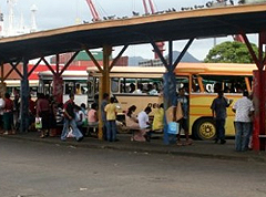 Consumer Council suggests bus timetables be displayed 