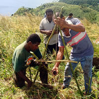 Conservation initiative introduced